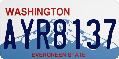 WA license plate AYR8137