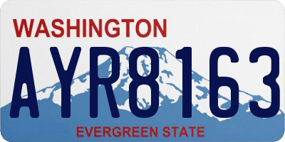 WA license plate AYR8163