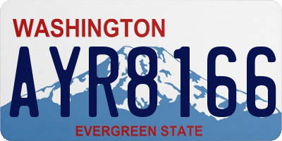 WA license plate AYR8166