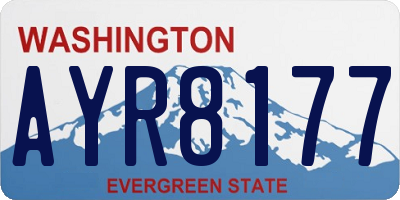 WA license plate AYR8177