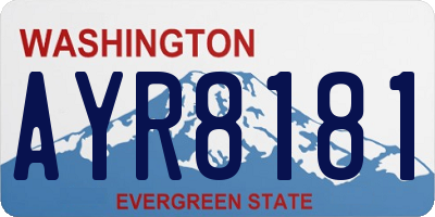 WA license plate AYR8181