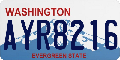 WA license plate AYR8216
