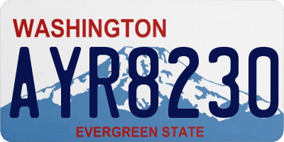 WA license plate AYR8230