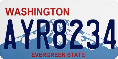 WA license plate AYR8234