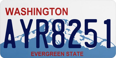 WA license plate AYR8251