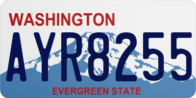 WA license plate AYR8255