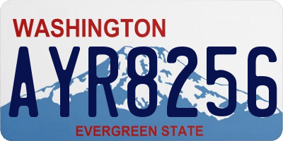 WA license plate AYR8256