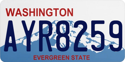 WA license plate AYR8259