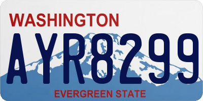 WA license plate AYR8299