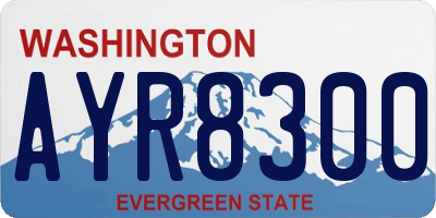 WA license plate AYR8300