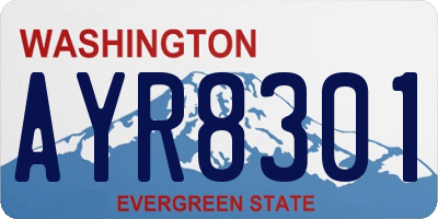 WA license plate AYR8301