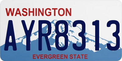 WA license plate AYR8313