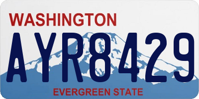 WA license plate AYR8429