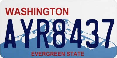 WA license plate AYR8437