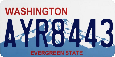 WA license plate AYR8443