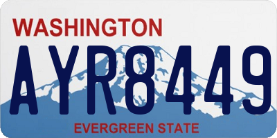 WA license plate AYR8449