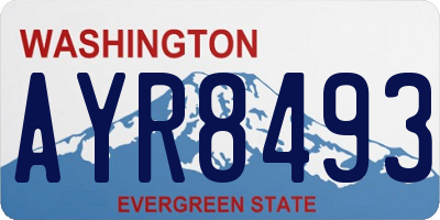 WA license plate AYR8493