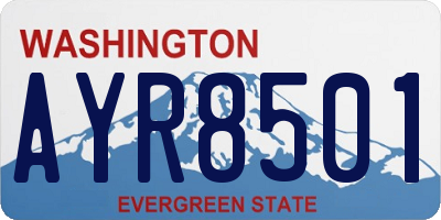 WA license plate AYR8501
