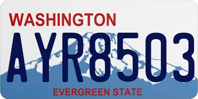 WA license plate AYR8503