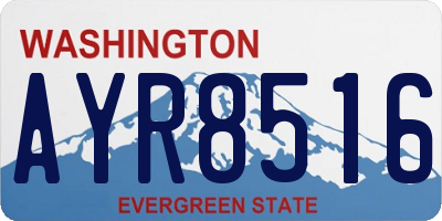 WA license plate AYR8516