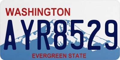 WA license plate AYR8529