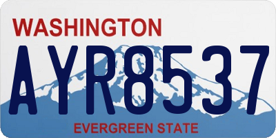 WA license plate AYR8537