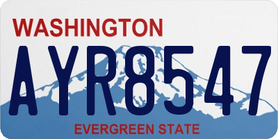 WA license plate AYR8547