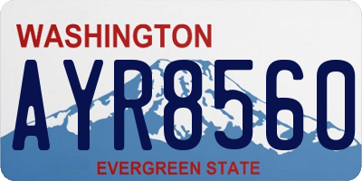 WA license plate AYR8560