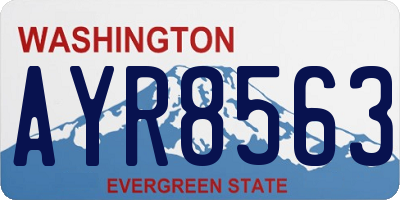 WA license plate AYR8563