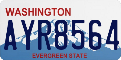WA license plate AYR8564