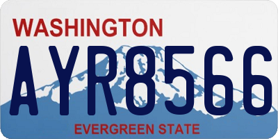 WA license plate AYR8566
