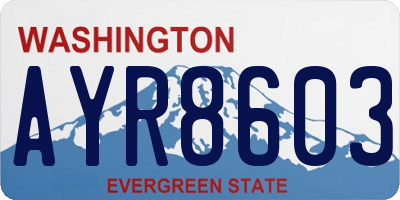 WA license plate AYR8603