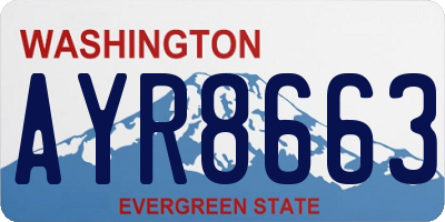 WA license plate AYR8663