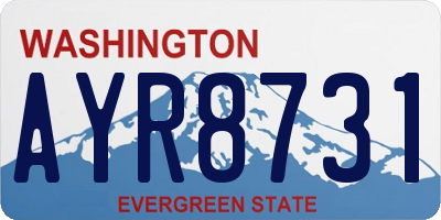 WA license plate AYR8731