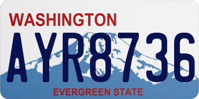 WA license plate AYR8736