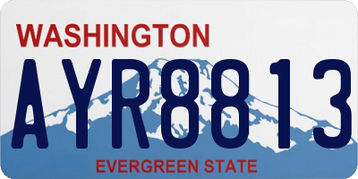 WA license plate AYR8813