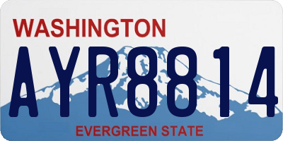 WA license plate AYR8814