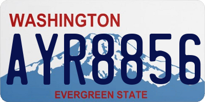 WA license plate AYR8856