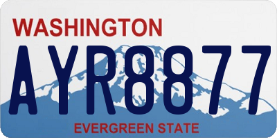 WA license plate AYR8877