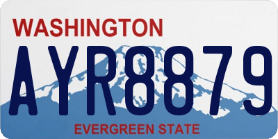 WA license plate AYR8879