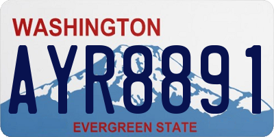 WA license plate AYR8891