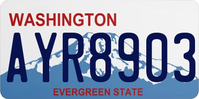 WA license plate AYR8903
