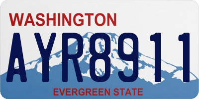 WA license plate AYR8911