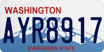 WA license plate AYR8917