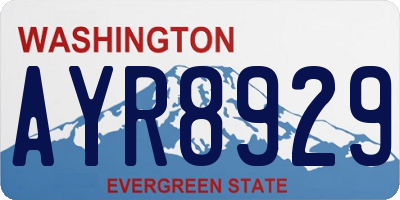 WA license plate AYR8929