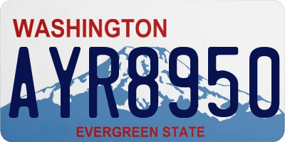 WA license plate AYR8950