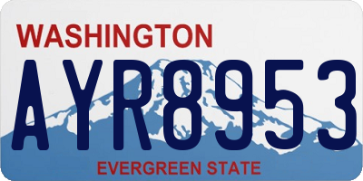WA license plate AYR8953