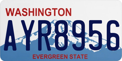 WA license plate AYR8956