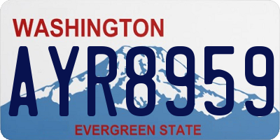 WA license plate AYR8959