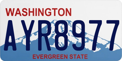WA license plate AYR8977